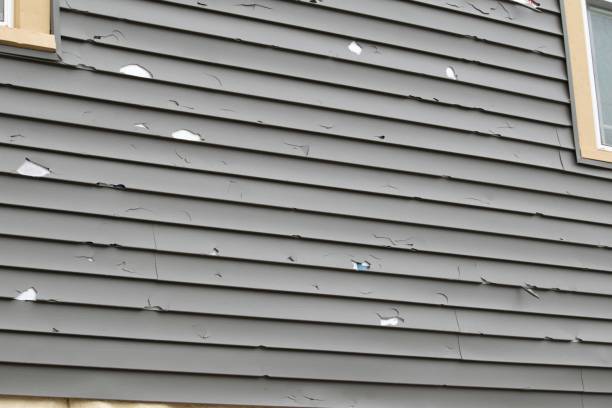 Best Siding Painting and Refinishing  in Pooler, GA