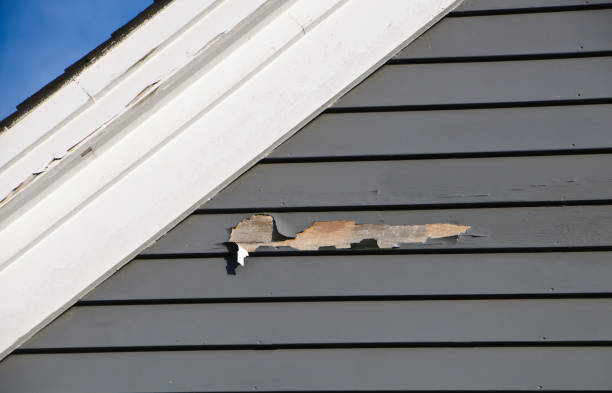 Best Weatherproofing and Sealing  in Pooler, GA